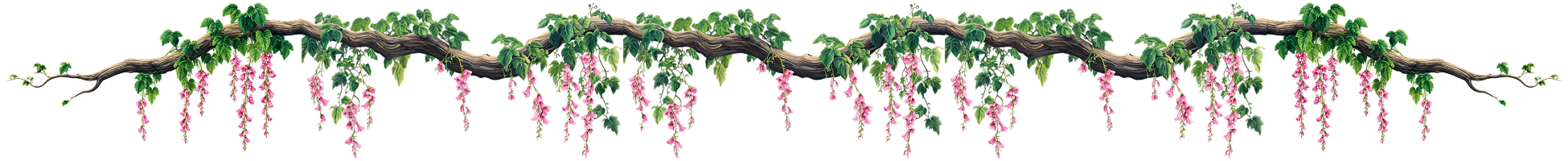 Vine decoration